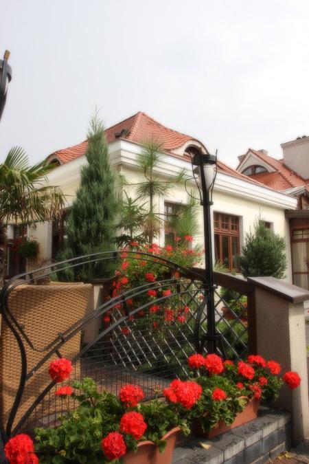 Hotel Palacyk Konin Екстер'єр фото